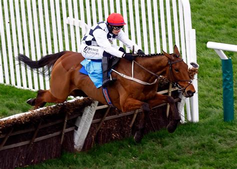 latest cheltenham festival news|Cheltenham Festival 2024 LIVE results: Horse racing updates, .